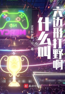 什么叫六边形打野啊TXT奇书网