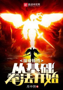 顶级悟性:从基础拳法开始下载
