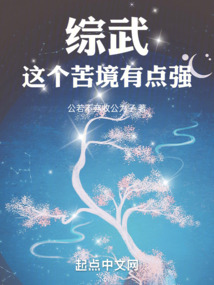 综武:这个苦境有点强