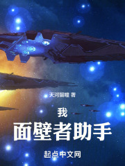 我,面壁者助手