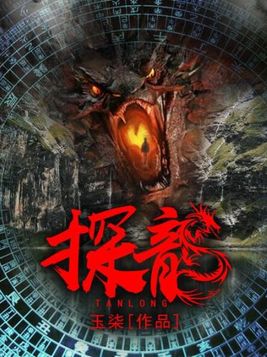 探龙小说