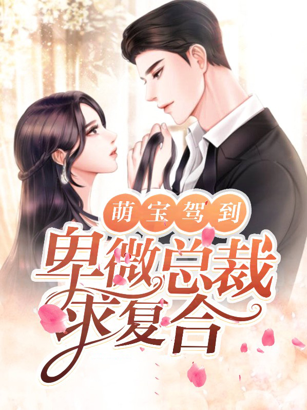 萌宝驾到:卑微总裁求复合