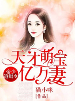 帝少追缉令天才萌宝亿万妻电视剧