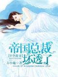帝国总裁的宠妻