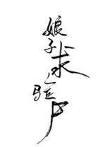 女法医古代探案录TXT百度云