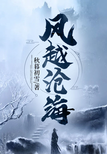 风越沧海评论