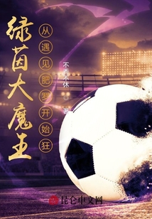 绿茵大魔王:从遇见肥罗开始狂!