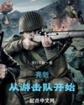 亮剑,从游击队开始