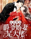 天才四宝:爵爷娇妻是大佬