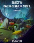 融练万物,我在泰拉瑞亚中杀疯了