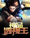 神品透视王