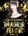 被六个哥哥团宠,前夫跪求我回家