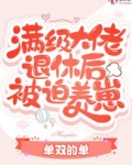 满级大佬退休后被迫养崽