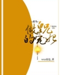 重生做皇兄的宠妃