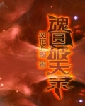 魂圆破天录