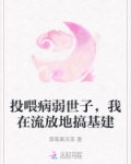 投喂病弱世子,我在流放地搞基建
