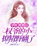 孕吐离婚后,权爷的小撩精野翻了