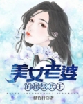 美女老婆的超级兵王