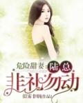 危险甜妻:陆总,非礼勿动