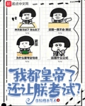 我都皇帝了,还让朕考试?