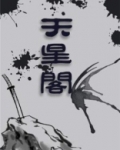 天星阁