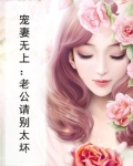 宠妻无上:老公请别太坏