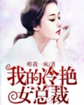 我的冷艳女总裁