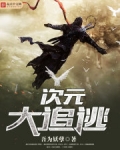 次元大追逃