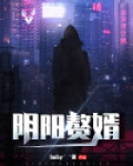 阴阳赘婿