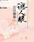 江月渐欲谜人眼