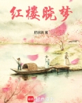 红楼晓梦