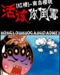 活该你倒霉!(红楼同人)