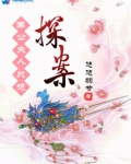 国公夫人只想探案