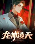 龙帅凌天