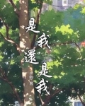 是我,还是我