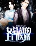 女总裁的上门医婿