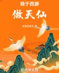我于西游做天仙