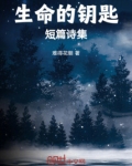 生命的钥匙:短篇诗集