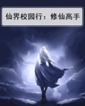 仙界校园行:修仙高手