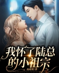 我怀了陆总的小祖宗