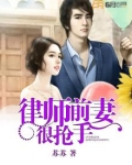 律师前妻很抢手