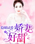 隐婚试爱:娇妻,好甜!