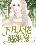 下凡大佬遇姻缘