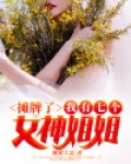 摊牌了!我有七个女神姐姐