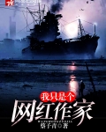 我只是个网红作家