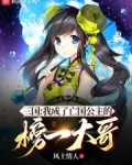 三国:我成了亡国公主的榜一大哥