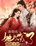 新婚夜,她烧了摄政王府