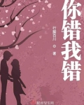 你错我错
