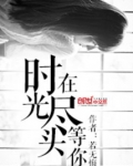 在时光尽头等你