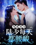 为求名分,陆少每天都腰酸
